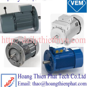 Động cơ điện VEM